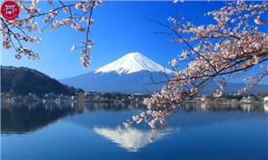 Vẻ Đẹp Siêu Thực 4 Mùa Của Núi Phú Sĩ